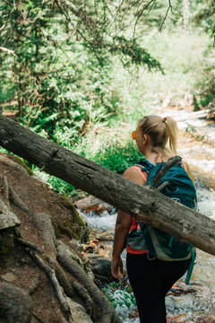 Woman hiking along Deer Creek Trail by stream in Bailey, Colorad