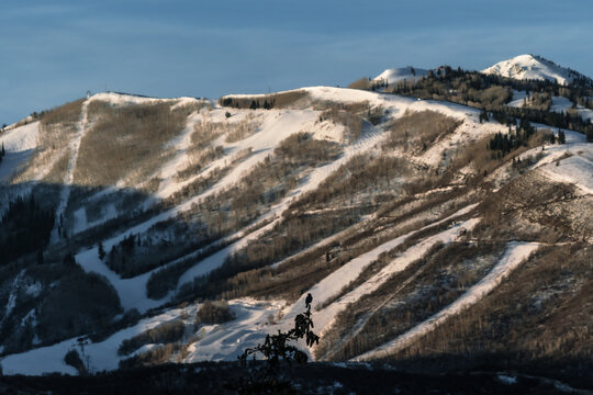 Magpie bird silhouette against Park City mountains