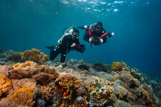 two divers exploring the clear water at Komodo National park