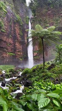 Kapas Biru waterfall surrounded by lush tropical rainforest and tree ferns in East Java, Indonesia. Scenic jungle landscape with dramatic cascade and mist in Southeast Asia.