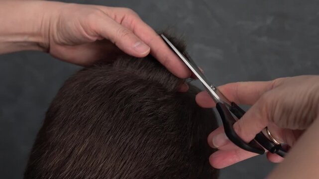 Haircut process at a salon with a stylist working on a client's hair