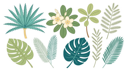 Vibrant set elements various tropical foliage collection, a diverse assortment of exotic leaves and plants for design projects © Ube