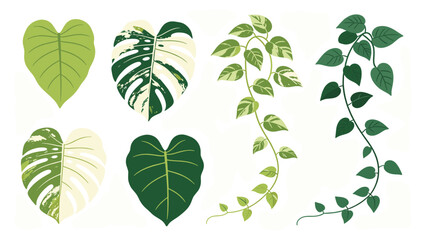 A vibrant set elements various tropical foliage collection with diverse green leaf illustrations for botanical design projects © Ube