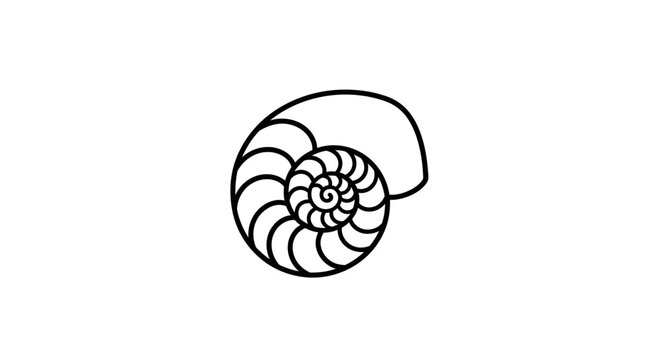 Nautilus Shell Spiral Fibonacci Sequence Outline