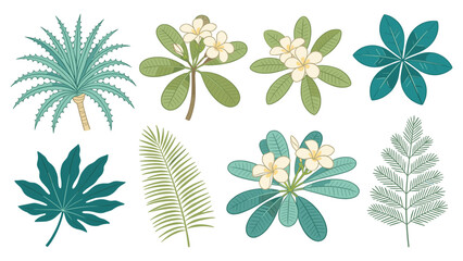 Vibrant set elements featuring various tropical foliage collection  diverse exotic leaves and blooming flowers for design projects © Ube