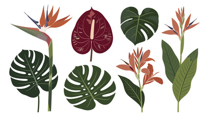 Set elements various tropical foliage collection with vibrant exotic flowers and lush green leaves, ideal for summer design projects © Ube