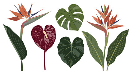 A stunning collection of various tropical foliage elements, featuring exotic flowers and diverse green leaves, illustration set © Ube