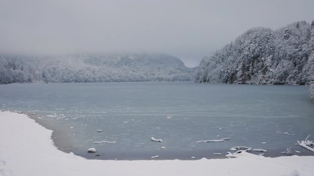 Panning shot of a frozen lake shore and snow-covered trees in winter.
