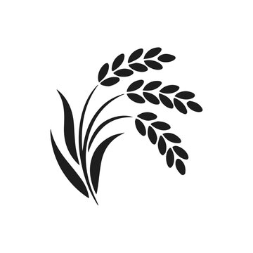 Rice Plant Silhouette Icon Design