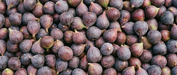 Dense Layer of Figs Covering Entire Frame Natural Fruit Texture