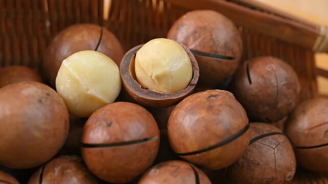 Dried macadamia nuts on the table.