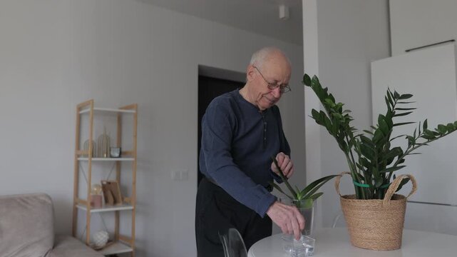 Elderly man carefully cleaning houseplant leaves at home