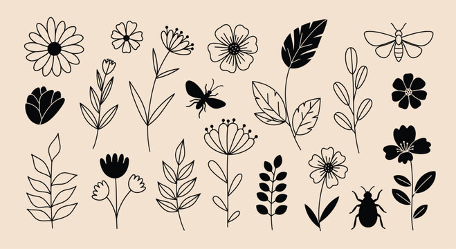 Black Flowers Leaves Insects on Beige Background