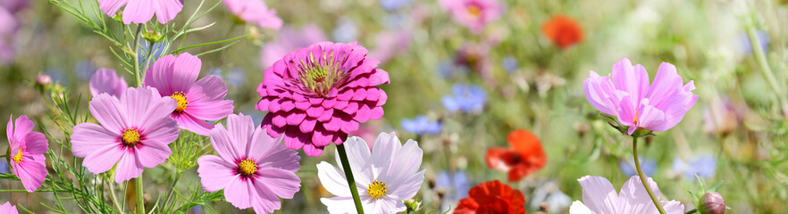 Garten 1531 © K.-U. Häßler