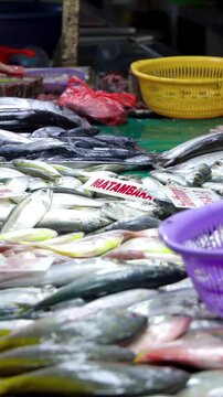 Fresh Fish Display at a Traditional Wet Market in Manila Philippines