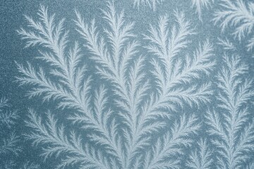 Fototapeta premium Macro view of frost patterns forming feathery leaves on glass
