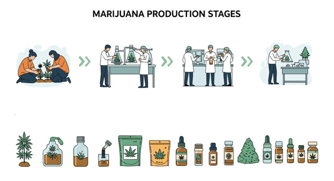 Comprehensive guide to marijuana production stages showing cultivation, laboratory testing, and various finished cannabis products.
