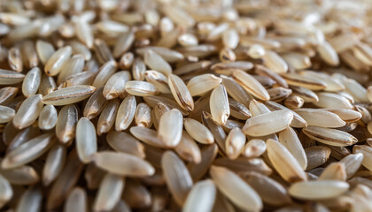 Obraz premium Close-up of scattered sunflower seeds with shells.