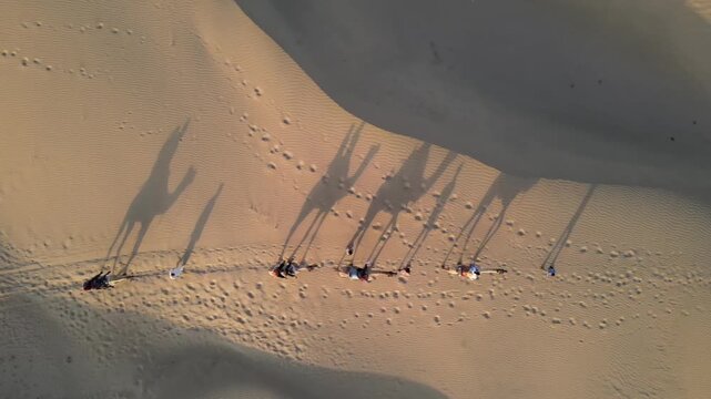 Aerial View of Tourists Enjoying Camel Ride in Jaisalmer Thar Desert Rajasthan India