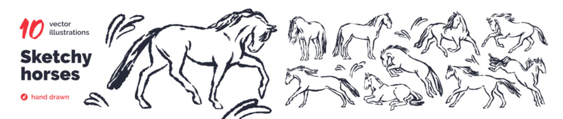 Hand-drawn horses, outline doodle sketches set. Handdrawn line foals, equine animals. Charcoal and chalk contour, whimsical fairytale style. Sketchy vector illustration isolated on white background © Good Studio
