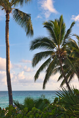 Obraz premium Varadero, Cuba; 04.07.2023. Beautiful, colourful sunset on the beach in Varadero, Cuba! Cote d'Azur of the Atlantic Ocean, next to the Caribbean Sea. Cuba wild palm beach background. Nature blue sea l