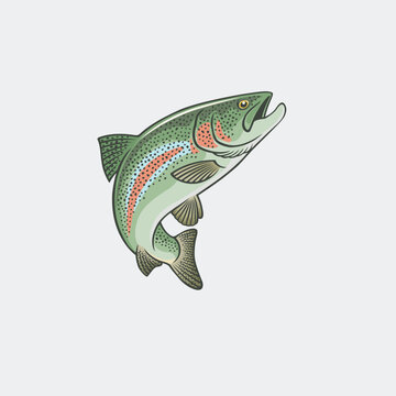 the picture shows a rainbow trout