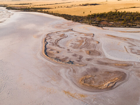 Aerial view of the intricate patterns of dried lakebed creating a surreal landscape, juxtaposed with golden fields and sparse trees, Lake Campion Nature Reserve, Western Australia, Australia.