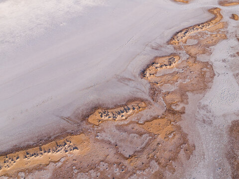 Aerial view of a stark, cracked landscape where golden earth meets a pale expanse, creating a serene yet desolate tableau, Lake Campion Nature Reserve, Western Australia, Australia.