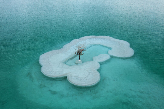 Aerial view of a solitary tree standing amidst the surreal, white salt formations contrasting against the turquoise waters of the Dead Sea, Arad, South District, Israel.