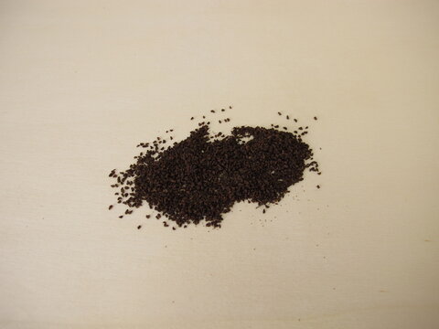 Close-up of Oenothera Evening-primrose plant seeds on a wooden background