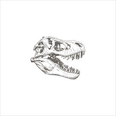 dinosaur bone drawing artwork handmade illustration © shopia