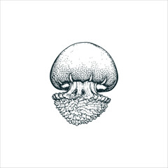 jellyfish sketch drawing artwork handmade illustration © shopia