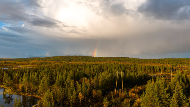 Aerial view of a vibrant rainbow arcs over the golden forests near Kilpisjarvi under a dramatic sky, Enontekio Kilpisjarvi, Lappi, Finland.