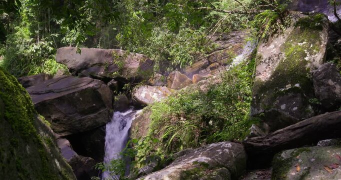 Jungle Stream with Boulders in Sinharaja Rainforest Sri Lanka