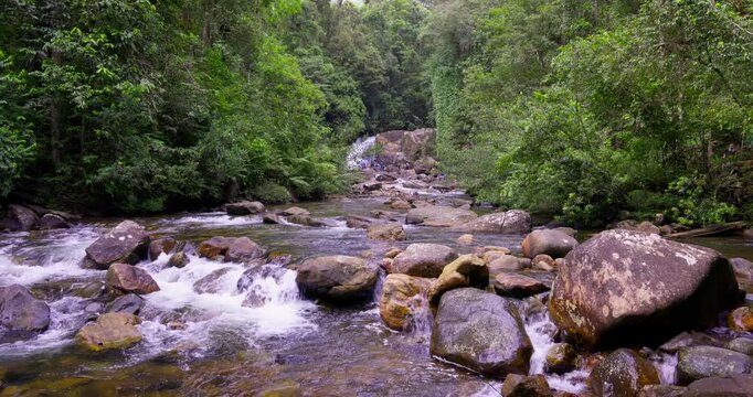 Jungle Stream with Boulders in Sinharaja Rainforest Sri Lanka