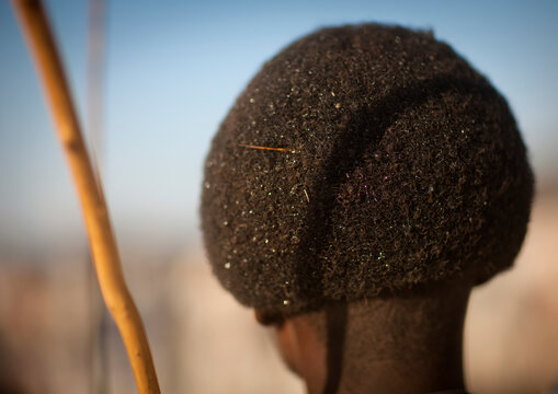 Rear View Of The Gunfura Haircut Of A Karrayyu Tribe Man In Gadaaa Ceremony, Metehara, Ethiopia
