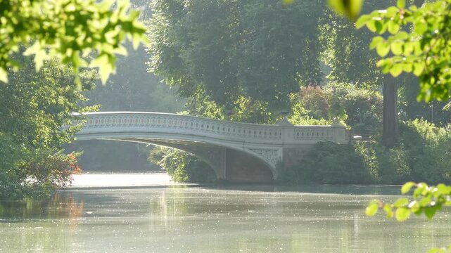 New York City Central Park nature oasis. Bow Bridge and lake in summer day, United States. Pond water and greenery in morning light. Autumn fall leaves and Manhattan architecture landmark of NYC, USA.