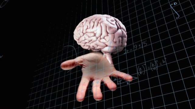 Brain on fleshy palm descending into wire grid, rotating while math formulas spreading, education