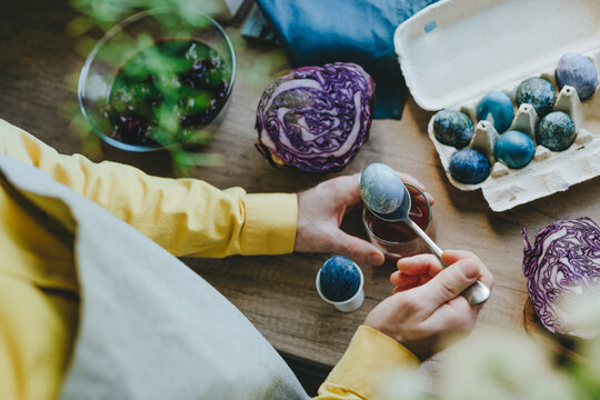 Coloring Easter eggs with natural dye from red cabbage in kitchen