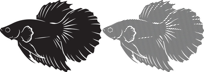 Side-by-side comparison of a betta fish with its camouflaged version. © Fahim