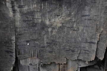 朽ちて古い板壁