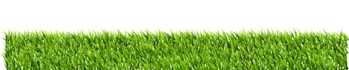 Obraz premium Green grass border isolated on transparent background.