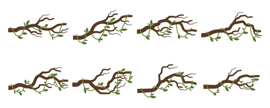 Hanging Junggle Leaves Illustration Set
