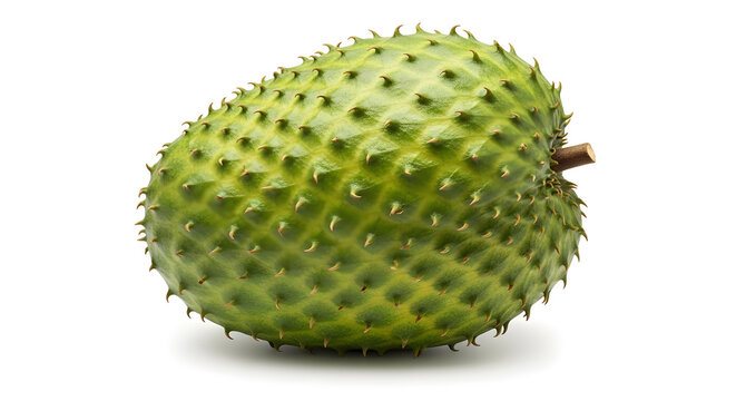 Exotic green soursop fruit with spiky skin, isolated on a clean white background.