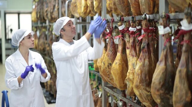 Man and female worker check jamon, discuss result, talk, exchange. Colleagues share opinions, draw conclusions. Quality control, troubleshooting, search and elimination of violations