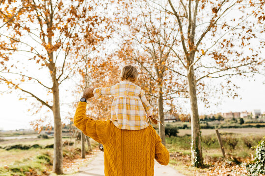 Father carrying his little daughter on shoulders in the morning, park in autumn