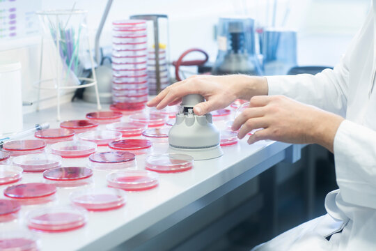 Petri dishes on lab table with punching machine