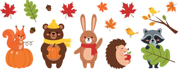 Cute autumn woodland animals vector set with bear, rabbit, hedgehog, raccoon, squirrel, pumpkins and fall leaves seasonal cartoon illustration © Yevhenii creative