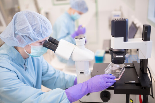 Checking of stem quality in cultivation containers in laboratory for drug production