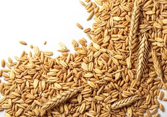 Abstract background featuring a dense scattering of dry cereal grains, providing natural texture and copy space for design projects, pattern, detailed, food